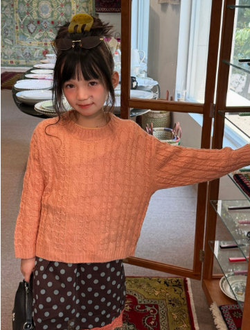 Girls Sweater 2026 Autumn and  - đánh giá và giá Baby Clothing Jumper
