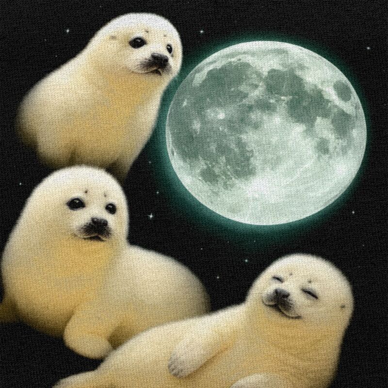 Male Baby Seals And The Moon T - đánh giá và giá Baby Clothing For Summer
